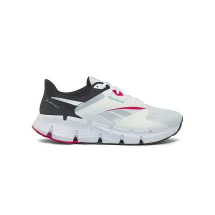 Zapatillas Reebok Zig Dynamica 5 100210036 Hombre